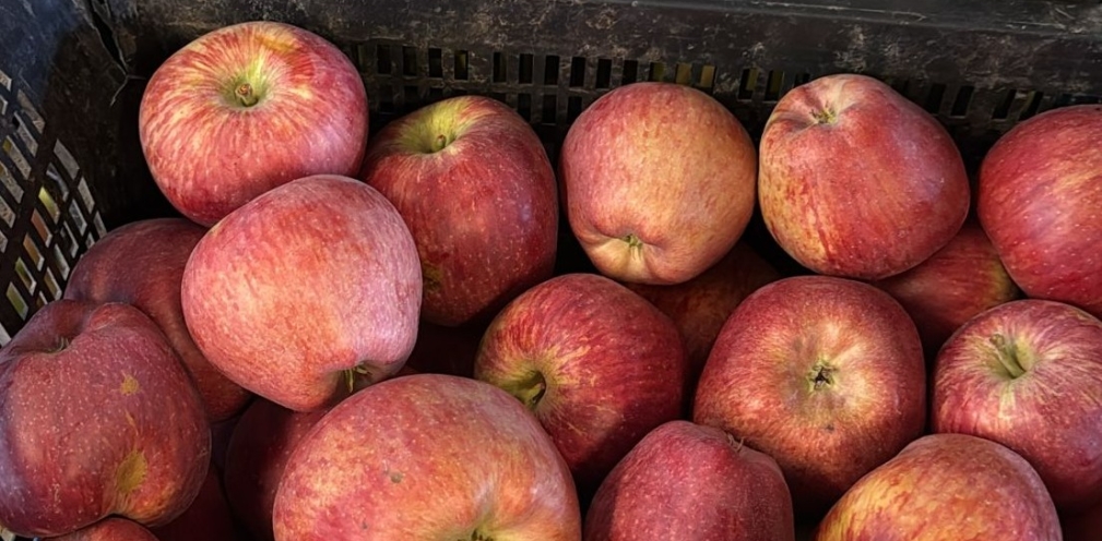 Manzana de Paterna